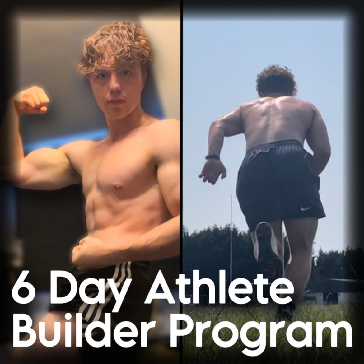 6 day program cheap bodybuilding